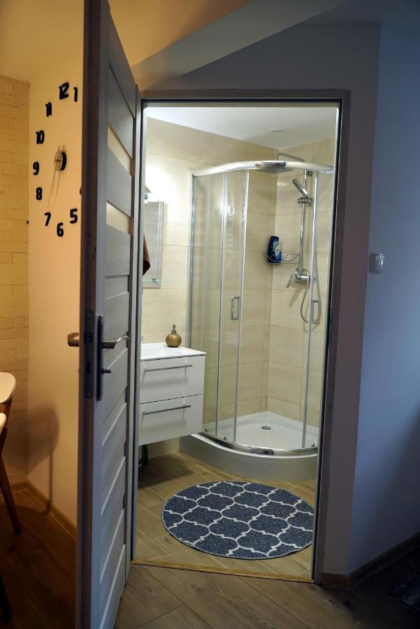 Apartament Naleczow Dom Pod Orzechami Luaran gambar